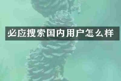 必应搜索国内用户怎么样
