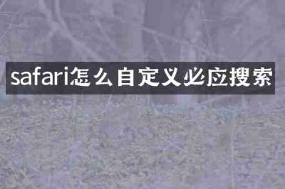 safari怎么自定义必应搜索