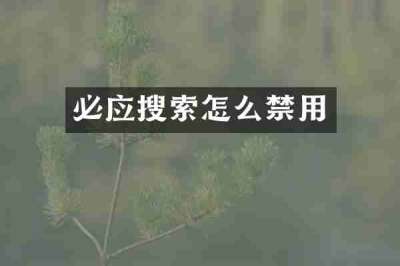 必应搜索怎么禁用