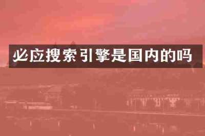 必应搜索引擎是国内的吗