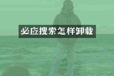 必应搜索怎样卸载