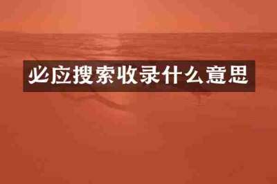 必应搜索收录什么意思