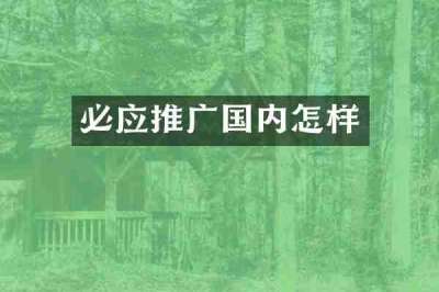 必应推广国内怎样