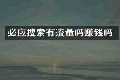 必应搜索有流量吗赚钱吗