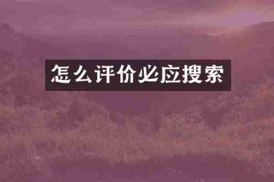 怎么评价必应搜索