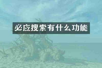 必应搜索有什么功能