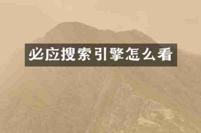 必应搜索引擎怎么看