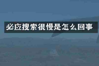 必应搜索很慢是怎么回事
