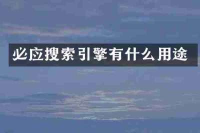 必应搜索引擎有什么用途