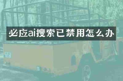 必应ai搜索已禁用怎么办
