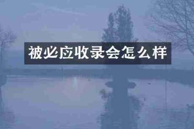 被必应收录会怎么样