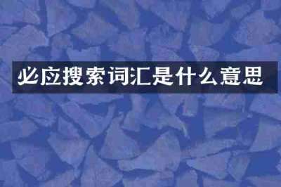 必应搜索词汇是什么意思