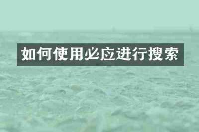 如何使用必应进行搜索