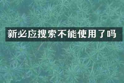 新必应搜索不能使用了吗
