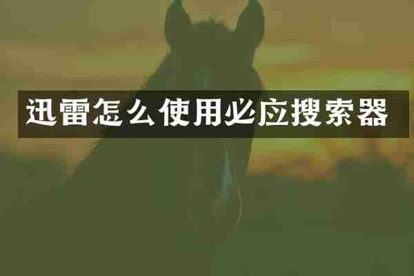 迅雷怎么使用必应搜索器