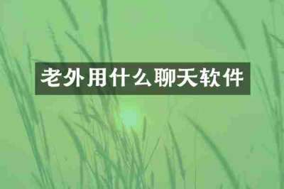 老外用什么聊天软件
