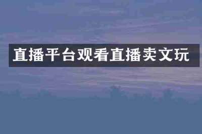 直播平台观看直播卖文玩