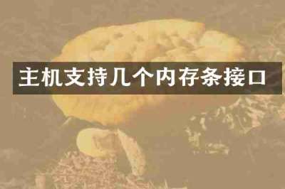 主机支持几个内存条接口