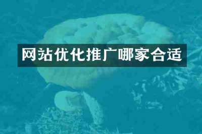 网站优化推广哪家合适