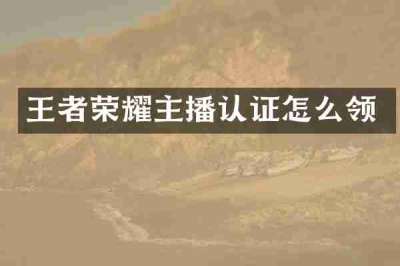 王者荣耀主播认证怎么领