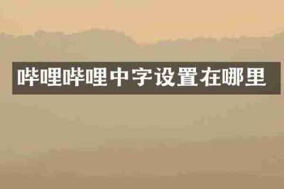 哔哩哔哩中字设置在哪里
