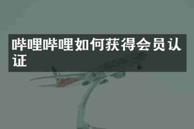 哔哩哔哩如何获得会员认证