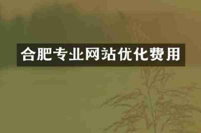 合肥专业网站优化费用