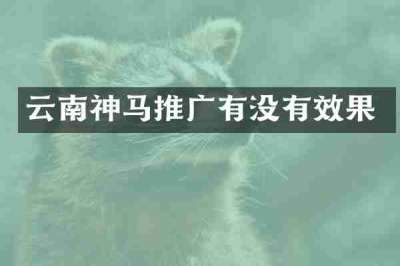 云南神马推广有没有效果