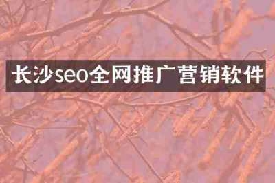 长沙seo全网推广营销软件