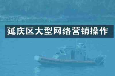 延庆区大型网络营销操作
