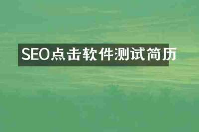 SEO点击软件测试简历