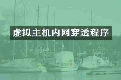 虚拟主机内网穿透程序