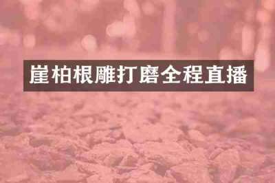 崖柏根雕打磨全程直播