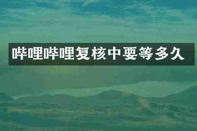 哔哩哔哩复核中要等多久