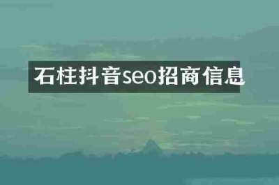 石柱抖音seo招商信息