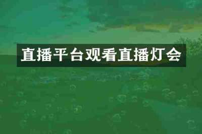 直播平台观看直播灯会