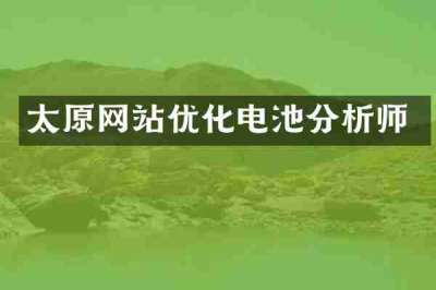 太原网站优化电池分析师