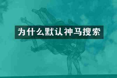 为什么默认神马搜索