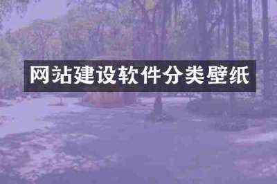 网站建设软件分类壁纸
