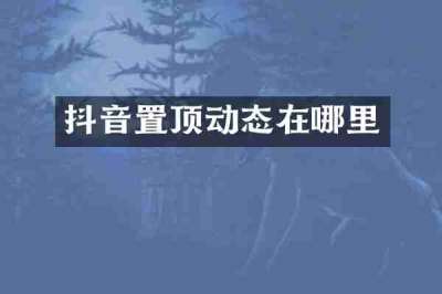 抖音置顶动态在哪里