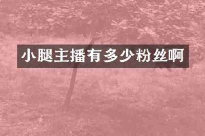 小腿主播有多少粉丝啊