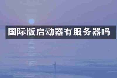 国际版启动器有服务器吗