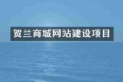 贺兰商城网站建设项目