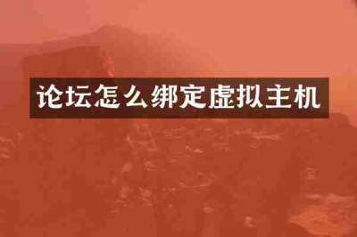 论坛怎么绑定虚拟主机