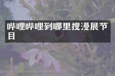 哔哩哔哩到哪里搜漫展节目