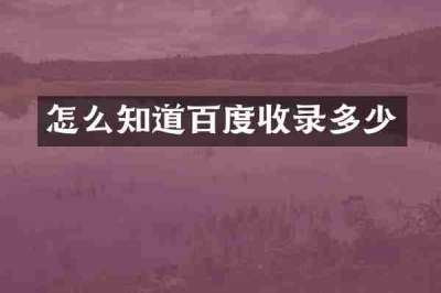 怎么知道百度收录多少