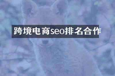 跨境电商seo排名合作