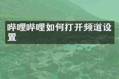 哔哩哔哩如何打开频道设置