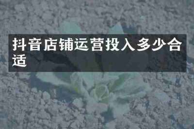 抖音店铺运营投入多少合适