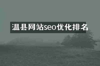 温县网站seo优化排名
